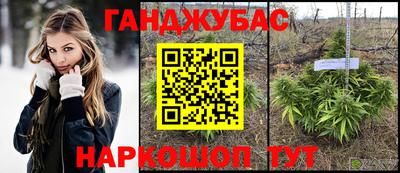 jwh Будённовск